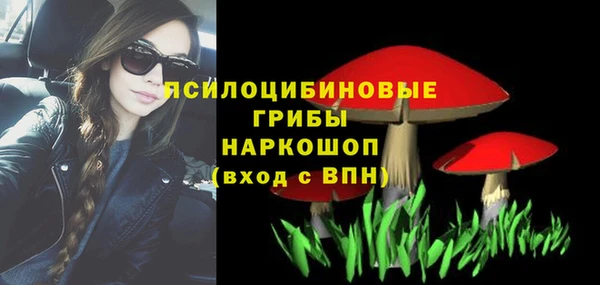 мяу мяу мука Абаза