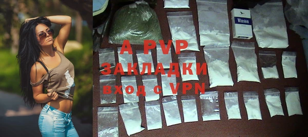 мяу мяу мука Абаза